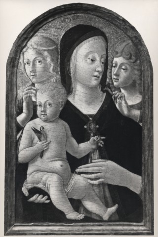 Anonimo — Pietro di Domenico - sec. XV/ XVI - Madonna con Bambino tra angeli — insieme
